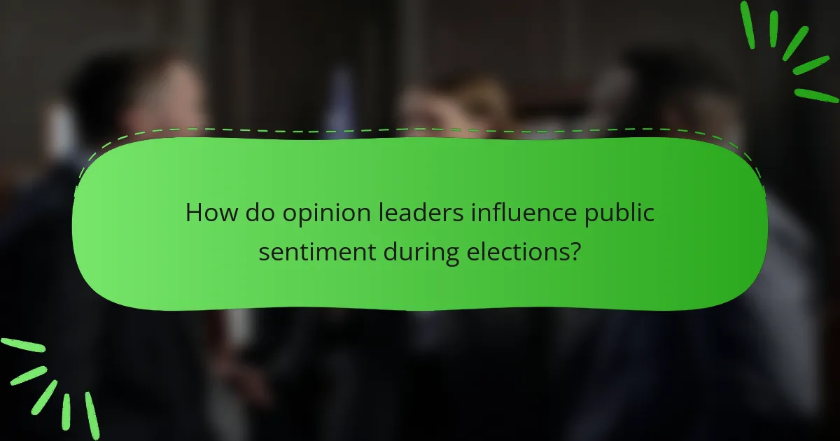 How do opinion leaders influence public sentiment during elections?
