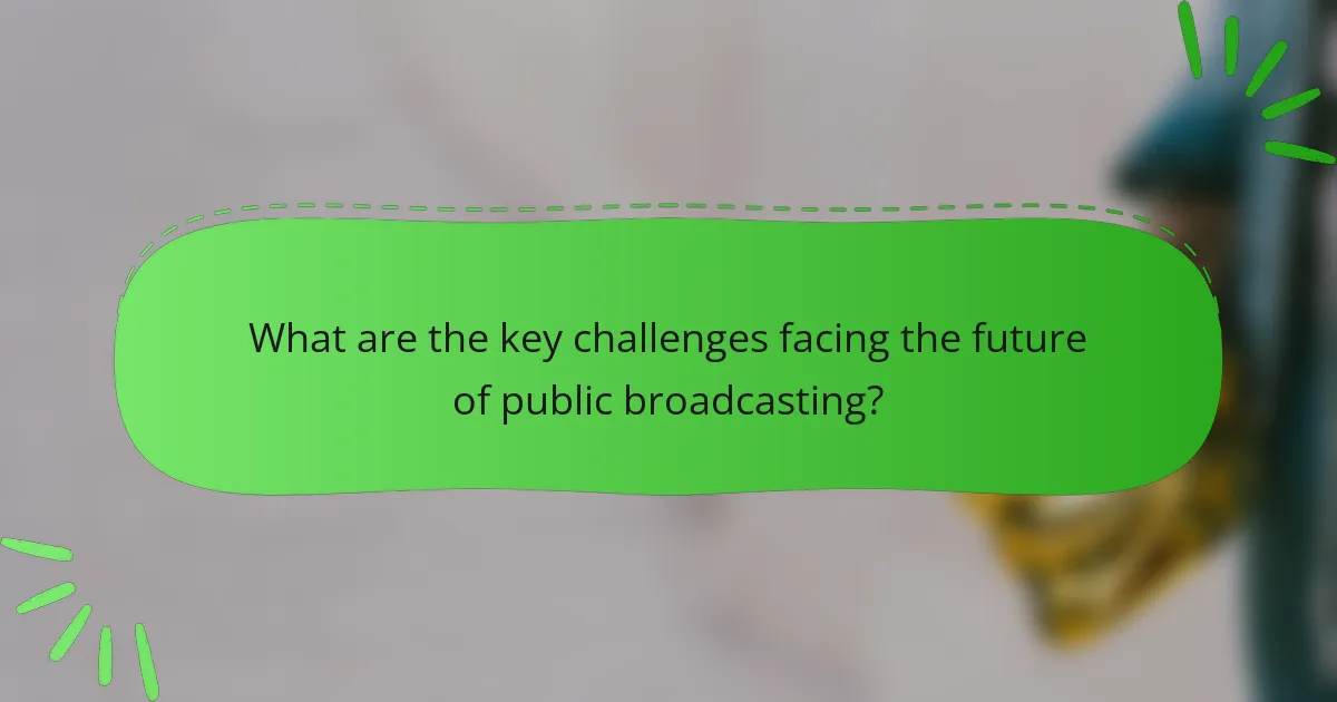What are the key challenges facing the future of public broadcasting?