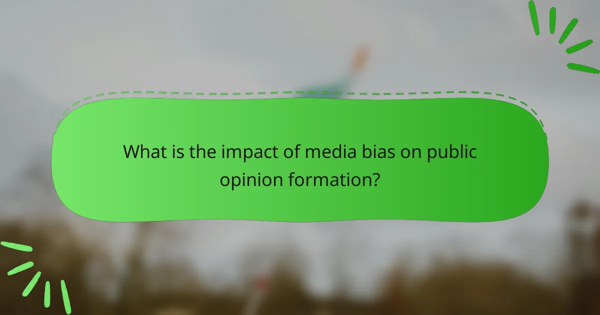 What is the impact of media bias on public opinion formation?